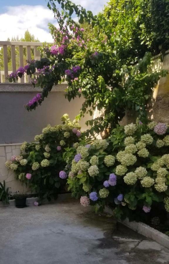 Apartment Ines Omiš Εξωτερικό φωτογραφία